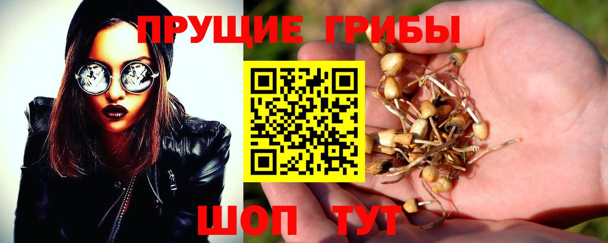 Псилоцибиновые грибы MAGIC MUSHROOMS Иваново
